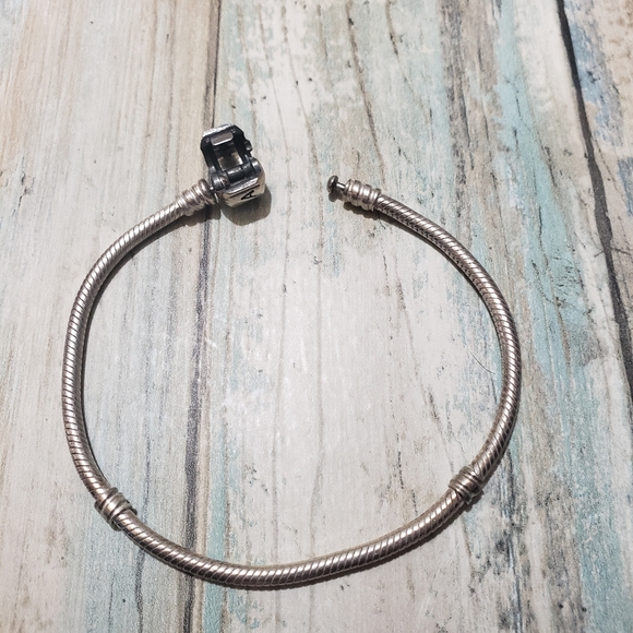 Pandora Bracelet! - Picture 14 of 16